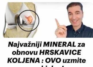 Ključni MINERAL za regeneraciju KOLJENSKE HRSKAVICE: Ovaj suplement uzimajte svakodnevno! Ključni MINERAL za regeneraciju KOLJENSKE HRSKAVICE: Ovaj suplement uzimajte svakodnevno!