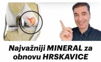 Ključni MINERAL za regeneraciju KOLJENSKE HRSKAVICE: Ovaj suplement uzimajte svakodnevno! Ključni MINERAL za regeneraciju KOLJENSKE HRSKAVICE: Ovaj suplement uzimajte svakodnevno!