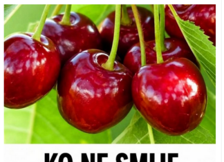 KO NE SMIJE JESTI TREŠNJE? Ako imate ovaj zdravstveni problem, morate ih izbjegavati KO NE SMIJE JESTI TREŠNJE? Ako imate ovaj zdravstveni problem, morate ih izbjegavati