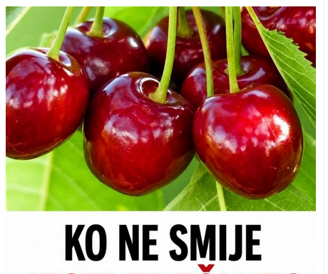 KO NE SMIJE JESTI TREŠNJE? Ako imate ovaj zdravstveni problem, morate ih izbjegavati KO NE SMIJE JESTI TREŠNJE? Ako imate ovaj zdravstveni problem, morate ih izbjegavati