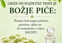 LIKER OD HAJDUČKE TRAVE JE BOŽJE PIĆE: Pomaže kod angine pektoris, gastritisa i gihta sve do reumatizma i čireva (RECEPT) LIKER OD HAJDUČKE TRAVE JE BOŽJE PIĆE: Pomaže kod angine pektoris, gastritisa i gihta sve do reumatizma i čireva (RECEPT)
