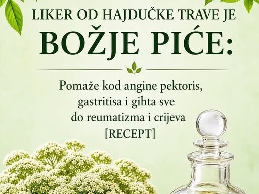 LIKER OD HAJDUČKE TRAVE JE BOŽJE PIĆE: Pomaže kod angine pektoris, gastritisa i gihta sve do reumatizma i čireva (RECEPT) LIKER OD HAJDUČKE TRAVE JE BOŽJE PIĆE: Pomaže kod angine pektoris, gastritisa i gihta sve do reumatizma i čireva (RECEPT)