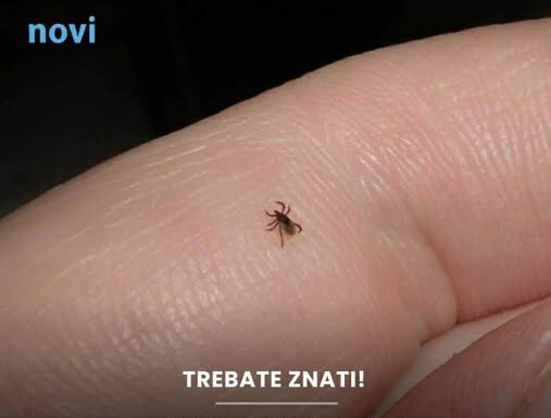 Mnogi ne znaju da je imaju: Funkcija na mobitelu koja pomaže detektirati krpelja! Mnogi ne znaju da je imaju: Funkcija na mobitelu koja pomaže detektirati krpelja!