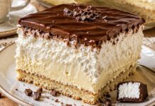 MUNCHMALLOW KOLAČ — jednostavan, lagan i preukusan… MUNCHMALLOW KOLAČ — jednostavan, lagan i preukusan…