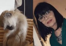 Nada Obrić živela sa majmunom, hranila ga, sa sobom vodila: Nije ni slutila šta će je te večeri snaći u podrumu Nada Obrić živela sa majmunom, hranila ga, sa sobom vodila: Nije ni slutila šta će je te večeri snaći u podrumu