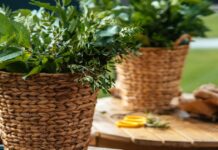 Pinterest inspiracija: 6 originalnih načina da zamenite saksije za cveće korpama Pinterest inspiracija: 6 originalnih načina da zamenite saksije za cveće korpama
