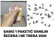 SAMO 1 PAKETIĆ VANILIN ŠEĆERA I NE TREBA VAM REPELENT: Savršen trik za omražene komarce, djeluje bolje od kemije! SAMO 1 PAKETIĆ VANILIN ŠEĆERA I NE TREBA VAM REPELENT: Savršen trik za omražene komarce, djeluje bolje od kemije!