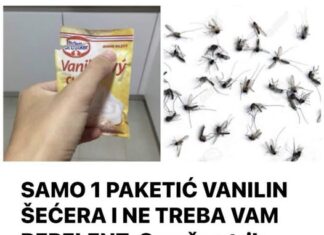 SAMO 1 PAKETIĆ VANILIN ŠEĆERA I NE TREBA VAM REPELENT: Savršen trik za omražene komarce, djeluje bolje od kemije! SAMO 1 PAKETIĆ VANILIN ŠEĆERA I NE TREBA VAM REPELENT: Savršen trik za omražene komarce, djeluje bolje od kemije!