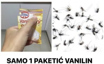 SAMO 1 PAKETIĆ VANILIN ŠEĆERA I NE TREBA VAM REPELENT: Savršen trik za omražene komarce, djeluje bolje od kemije! SAMO 1 PAKETIĆ VANILIN ŠEĆERA I NE TREBA VAM REPELENT: Savršen trik za omražene komarce, djeluje bolje od kemije!