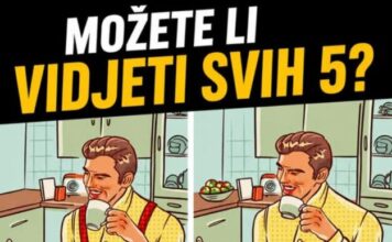 Samo rijetki uspiju pronaći svih 5 razlika — većina odustane na četvrtoj Samo rijetki uspiju pronaći svih 5 razlika — većina odustane na četvrtoj