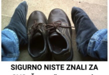SIGURNO NISTE ZNALI ZA OVO: Šta može opasno da se desi ako nosite ISTE CIPELE svaki dan? SIGURNO NISTE ZNALI ZA OVO: Šta može opasno da se desi ako nosite ISTE CIPELE svaki dan?