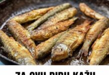 ZA OVU RIBU KAŽU DA JE NAJZDRAVIJA: Jedna Porcija Nedjeljno Zaštitiće Vaše Srce, Sniziti Holesterol I Popraviti Memoriju ZA OVU RIBU KAŽU DA JE NAJZDRAVIJA: Jedna Porcija Nedjeljno Zaštitiće Vaše Srce, Sniziti Holesterol I Popraviti Memoriju