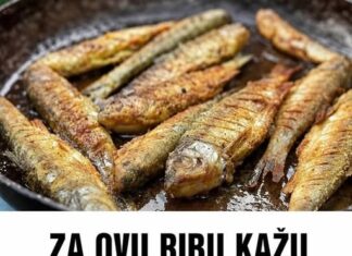 ZA OVU RIBU KAŽU DA JE NAJZDRAVIJA: Jedna Porcija Nedjeljno Zaštitiće Vaše Srce, Sniziti Holesterol I Popraviti Memoriju ZA OVU RIBU KAŽU DA JE NAJZDRAVIJA: Jedna Porcija Nedjeljno Zaštitiće Vaše Srce, Sniziti Holesterol I Popraviti Memoriju