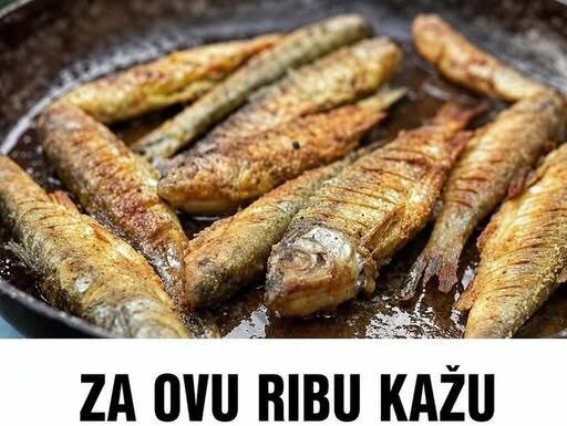 ZA OVU RIBU KAŽU DA JE NAJZDRAVIJA: Jedna Porcija Nedjeljno Zaštitiće Vaše Srce, Sniziti Holesterol I Popraviti Memoriju ZA OVU RIBU KAŽU DA JE NAJZDRAVIJA: Jedna Porcija Nedjeljno Zaštitiće Vaše Srce, Sniziti Holesterol I Popraviti Memoriju