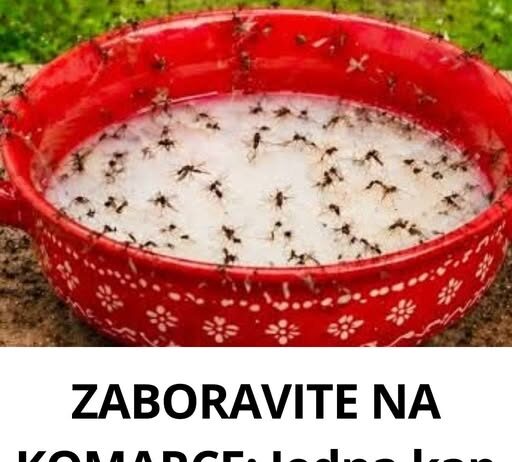 ZABORAVITE NA KOMARCE: Jedna kap ovog spreja i više ih nema! ZABORAVITE NA KOMARCE: Jedna kap ovog spreja i više ih nema!