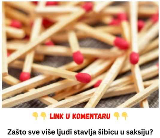 Zašto sve više ljudi stavlja šibicu u saksiju? Nećete verovati kako utiče na biljke Zašto sve više ljudi stavlja šibicu u saksiju? Nećete verovati kako utiče na biljke