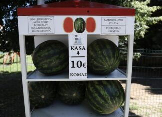 Afera “lubenicomat” u Hrvatskoj: Ko prodaje bostan prije berbe? Afera “lubenicomat” u Hrvatskoj: Ko prodaje bostan prije berbe?