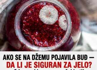 AKO SE NA DŽEMU POJAVILA BUĐ — DA LI JE SIGURAN ZA JELO? Odgovor bi vas mogao šokirati! AKO SE NA DŽEMU POJAVILA BUĐ — DA LI JE SIGURAN ZA JELO? Odgovor bi vas mogao šokirati!