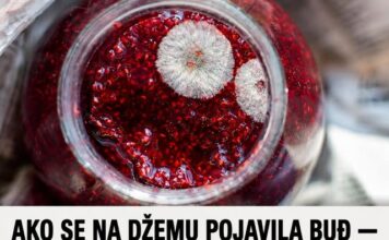 AKO SE NA DŽEMU POJAVILA BUĐ — DA LI JE SIGURAN ZA JELO? Odgovor bi vas mogao šokirati! AKO SE NA DŽEMU POJAVILA BUĐ — DA LI JE SIGURAN ZA JELO? Odgovor bi vas mogao šokirati!