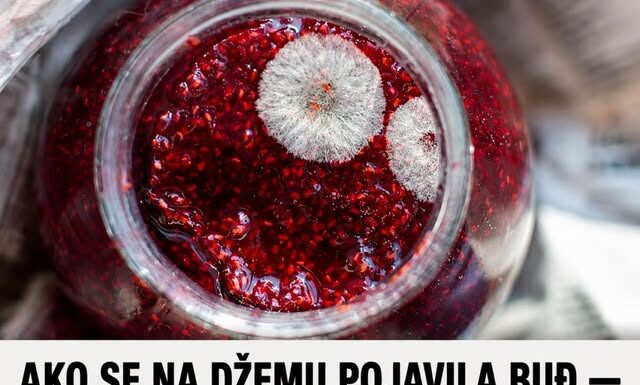 AKO SE NA DŽEMU POJAVILA BUĐ — DA LI JE SIGURAN ZA JELO? Odgovor bi vas mogao šokirati! AKO SE NA DŽEMU POJAVILA BUĐ — DA LI JE SIGURAN ZA JELO? Odgovor bi vas mogao šokirati!