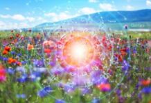 Ako ste rođeni u ovim znacima, žvot će vam se drastično promeniti tokom leta 2026: Zbog Venere i Jupitera naredna 3 meseca biće vam sudbonosna Ako ste rođeni u ovim znacima, žvot će vam se drastično promeniti tokom leta 2026: Zbog Venere i Jupitera naredna 3 meseca biće vam sudbonosna