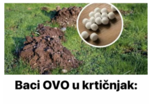Baci OVO u krtičnjak: Krtice više neće ulaziti u tvoj vrt! Baci OVO u krtičnjak: Krtice više neće ulaziti u tvoj vrt!