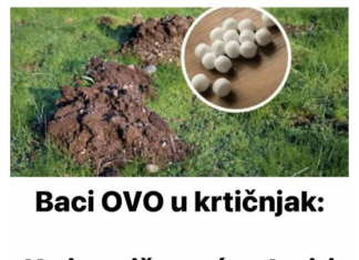 Baci OVO u krtičnjak: Krtice više neće ulaziti u tvoj vrt! Baci OVO u krtičnjak: Krtice više neće ulaziti u tvoj vrt!