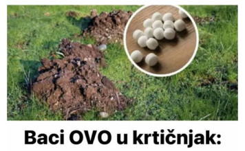 Baci OVO u krtičnjak: Krtice više neće ulaziti u tvoj vrt! Baci OVO u krtičnjak: Krtice više neće ulaziti u tvoj vrt!