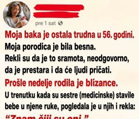Kada je baka sa 56 godina objavila da čeka blizance, porodica se podelila: Istina koja je sve promenila Kada je baka sa 56 godina objavila da čeka blizance, porodica se podelila: Istina koja je sve promenila