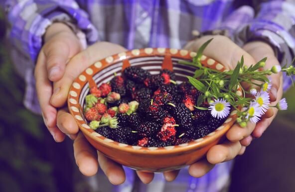 Kao deca smo ovo voće jeli direktno s drveta dok smo se igrali napolju, danas je zaboravljeno: Puno vitamina, minerala, antioksidanasa, čuva srce, kožu i stomak Kao deca smo ovo voće jeli direktno s drveta dok smo se igrali napolju, danas je zaboravljeno: Puno vitamina, minerala, antioksidanasa, čuva srce, kožu i stomak