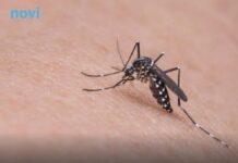 Koju krvnu grupu najviše “vole” komarci? Koju krvnu grupu najviše “vole” komarci?