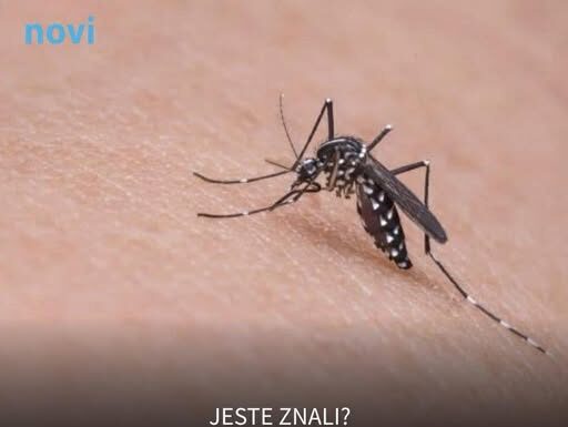 Koju krvnu grupu najviše “vole” komarci? Koju krvnu grupu najviše “vole” komarci?