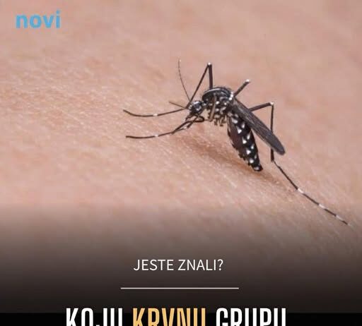 Koju krvnu grupu najviše “vole” komarci? Koju krvnu grupu najviše “vole” komarci?