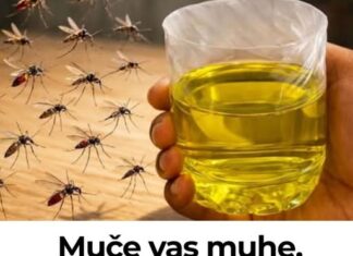 Muče vas muhe, komarci i insekti? Evo trika koji ih uklanja bez da potrošite ijednu marku! Muče vas muhe, komarci i insekti? Evo trika koji ih uklanja bez da potrošite ijednu marku!