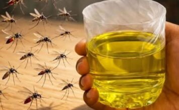 Muče vas muhe, komarci i insekti? Evo trika koji ih uklanja bez da potrošite ijednu marku! Muče vas muhe, komarci i insekti? Evo trika koji ih uklanja bez da potrošite ijednu marku!