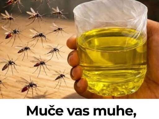 Muče vas muhe, komarci i insekti? Evo trika koji ih uklanja bez da potrošite ijednu marku! Muče vas muhe, komarci i insekti? Evo trika koji ih uklanja bez da potrošite ijednu marku!