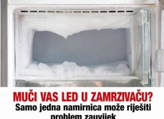 MUČI VAS LED U ZAMRZIVAČU? Samo jedna namirnica može riješiti problem zauvijek MUČI VAS LED U ZAMRZIVAČU? Samo jedna namirnica može riješiti problem zauvijek