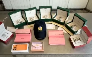 Na granici joj otvorili prtljagu: Ostala bez robe i dobila kaznu od 1.200 eura Na granici joj otvorili prtljagu: Ostala bez robe i dobila kaznu od 1.200 eura