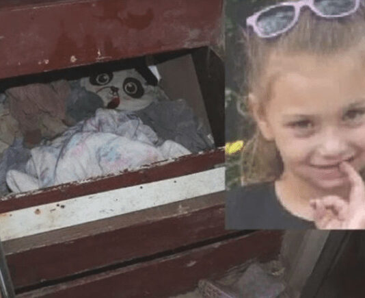 Nakon 3 godine pronađena djevojčica za kojom je tragao cijeli svijet: Godinama se smrzavala u mračnom podrumu rođenog deke, a prizor boli Nakon 3 godine pronađena djevojčica za kojom je tragao cijeli svijet: Godinama se smrzavala u mračnom podrumu rođenog deke, a prizor boli