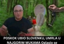 Poznati zmijolovac otkrio šta da uradite ako vas ujede zmija: Ovako prepoznajte otrovnicu od bezopasne vrste Poznati zmijolovac otkrio šta da uradite ako vas ujede zmija: Ovako prepoznajte otrovnicu od bezopasne vrste