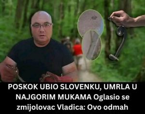 Poznati zmijolovac otkrio šta da uradite ako vas ujede zmija: Ovako prepoznajte otrovnicu od bezopasne vrste Poznati zmijolovac otkrio šta da uradite ako vas ujede zmija: Ovako prepoznajte otrovnicu od bezopasne vrste