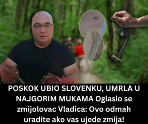 Poznati zmijolovac otkrio šta da uradite ako vas ujede zmija: Ovako prepoznajte otrovnicu od bezopasne vrste Poznati zmijolovac otkrio šta da uradite ako vas ujede zmija: Ovako prepoznajte otrovnicu od bezopasne vrste