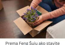 Prema Feng Šuiu ako stavite lavandu na ovo mesto u kući sva negativna energija nestaje kao rukom odnešena Prema Feng Šuiu ako stavite lavandu na ovo mesto u kući sva negativna energija nestaje kao rukom odnešena