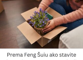 Prema Feng Šuiu ako stavite lavandu na ovo mesto u kući sva negativna energija nestaje kao rukom odnešena Prema Feng Šuiu ako stavite lavandu na ovo mesto u kući sva negativna energija nestaje kao rukom odnešena