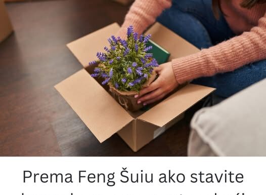 Prema Feng Šuiu ako stavite lavandu na ovo mesto u kući sva negativna energija nestaje kao rukom odnešena Prema Feng Šuiu ako stavite lavandu na ovo mesto u kući sva negativna energija nestaje kao rukom odnešena