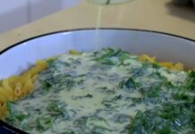 Recept za brz i jeftin ručak za četveročlanu porodicu: Toliko je ukusan da ćete ga paviti bar dva puta nedeljno Recept za brz i jeftin ručak za četveročlanu porodicu: Toliko je ukusan da ćete ga paviti bar dva puta nedeljno