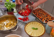 Ručak – šnicle, pire, salata i kolač Ručak – šnicle, pire, salata i kolač