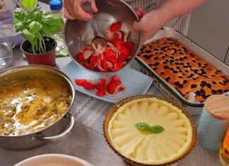 Ručak – šnicle, pire, salata i kolač Ručak – šnicle, pire, salata i kolač