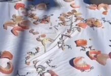 Snimak iz Bijeljine podijelio regionalnu javnost: Jedni su se nasmijali do suza, drugi ostali zgroženi Snimak iz Bijeljine podijelio regionalnu javnost: Jedni su se nasmijali do suza, drugi ostali zgroženi