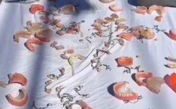 Snimak iz Bijeljine podijelio regionalnu javnost: Jedni su se nasmijali do suza, drugi ostali zgroženi Snimak iz Bijeljine podijelio regionalnu javnost: Jedni su se nasmijali do suza, drugi ostali zgroženi